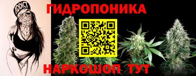 крисы Апрелевка