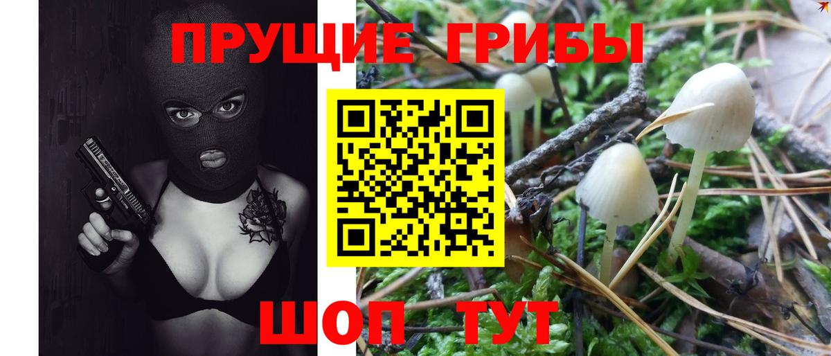 Псилоцибиновые грибы MAGIC MUSHROOMS Богданович